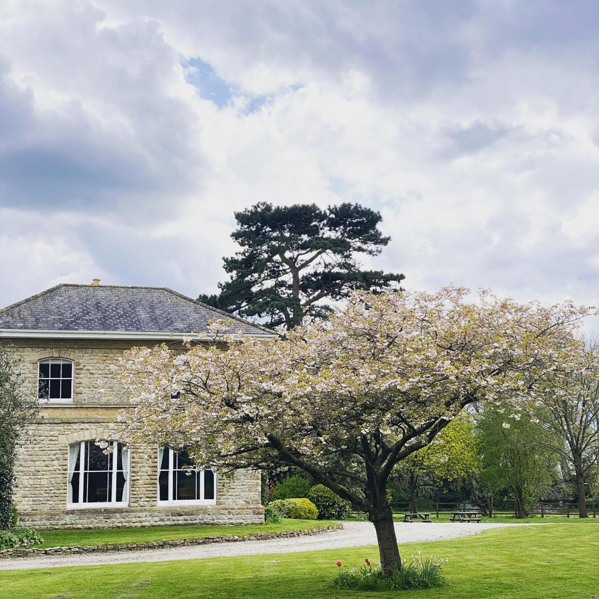 Walltree House 3*